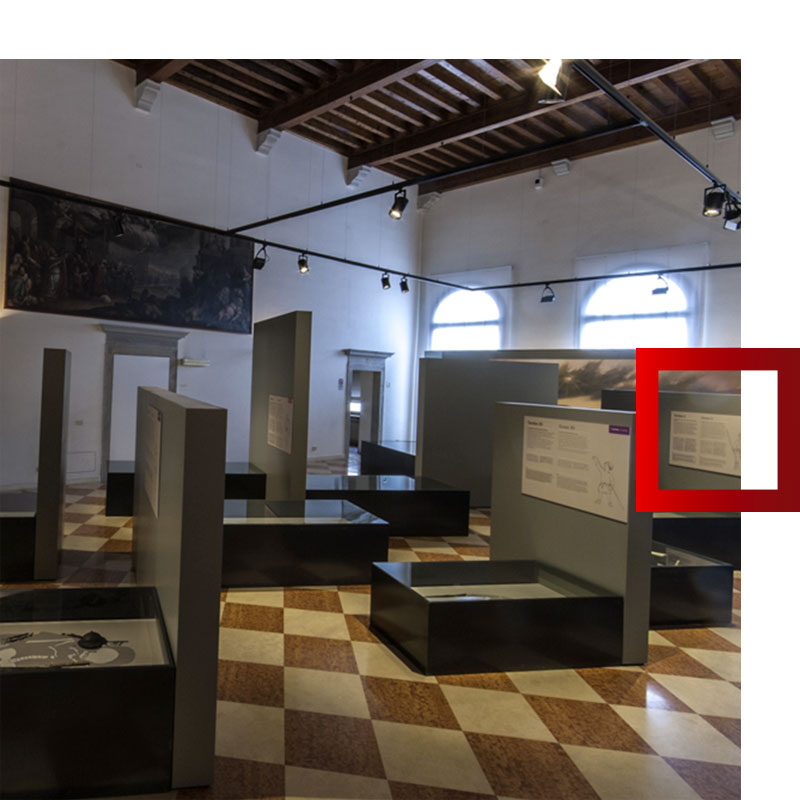 museo archeologico nazionale collezioni cividale longobardi in italia